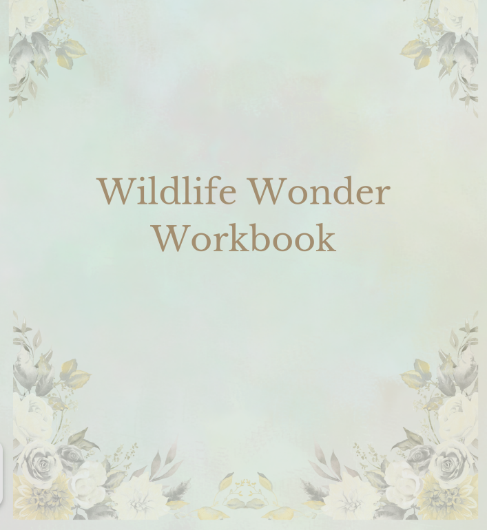 A Wildlife Wonder Workbook